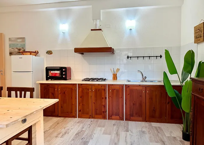 Le Domosolas - In Centro Storico A Apartman Orosei